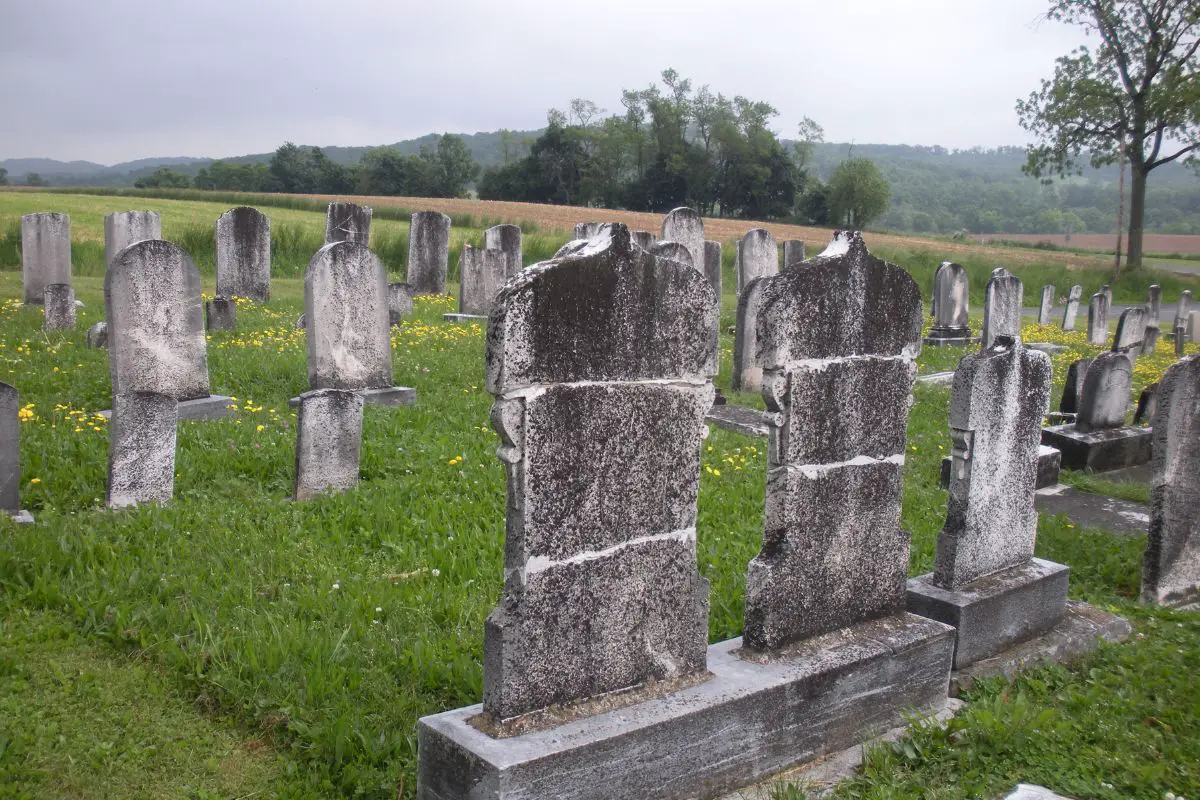Can You Use Awesome Cleaner On Headstones? (Good Headstone Cleaners?)