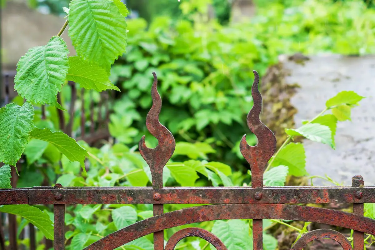 How To Clean Metal Grave Markers (Cemetery Headstone Cleaning Tips)