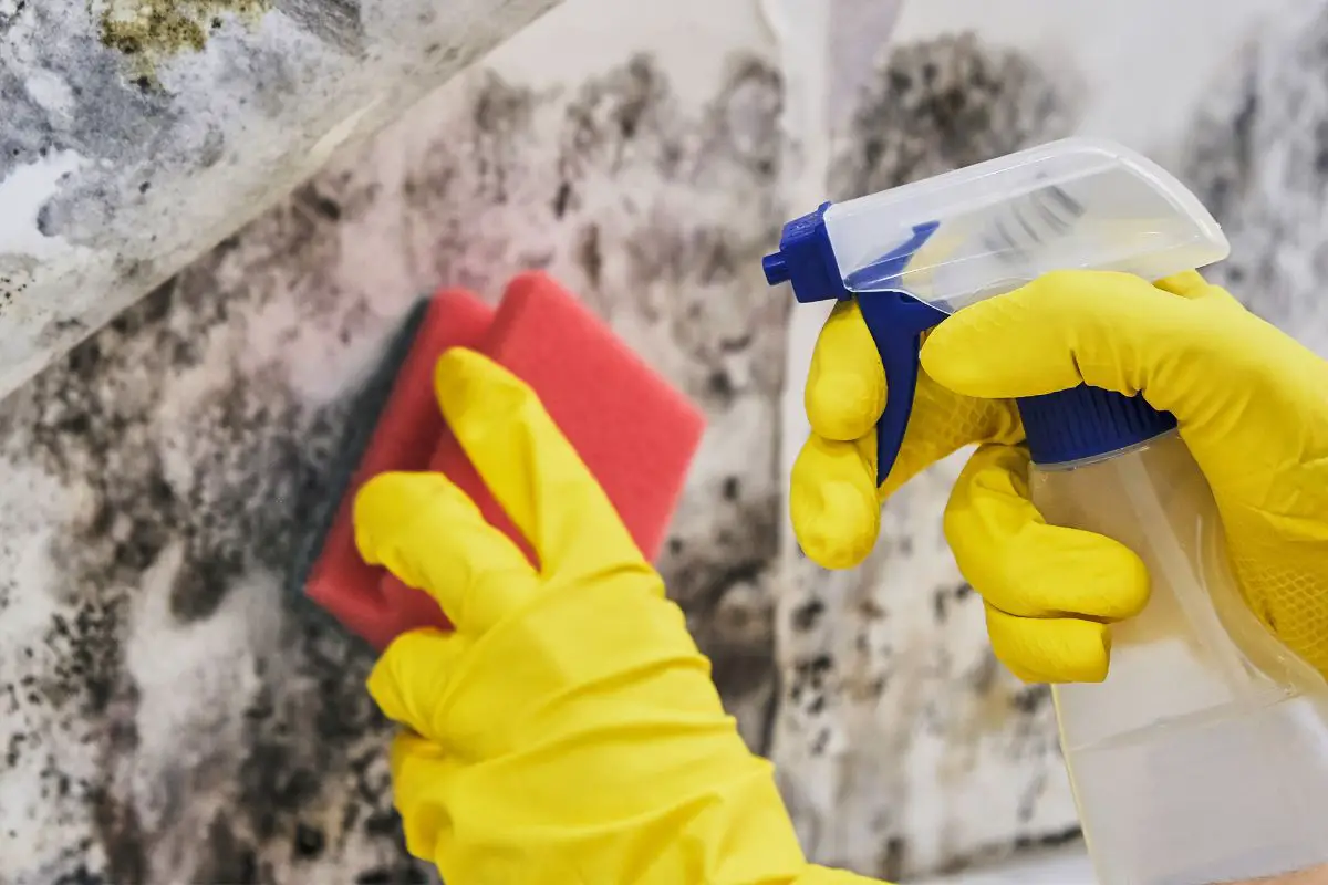 how-to-remove-paint-from-a-granite-headstone-tips-to-keep-the-cemetery